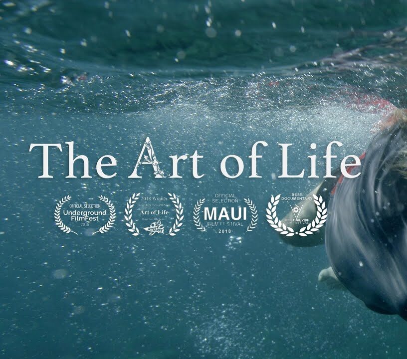 The Art of Life - Channel Nonfiction